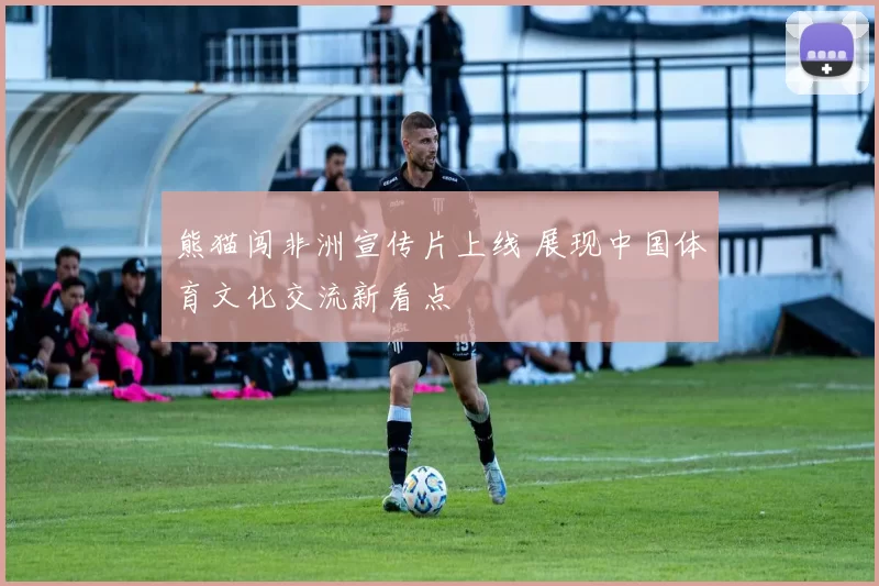 熊猫闯非洲宣传片上线 展现中国体育文化交流新看点