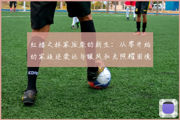 红楼之林家废柴的新生：从零开始的家族逆袭记与暖风和光照耀困境