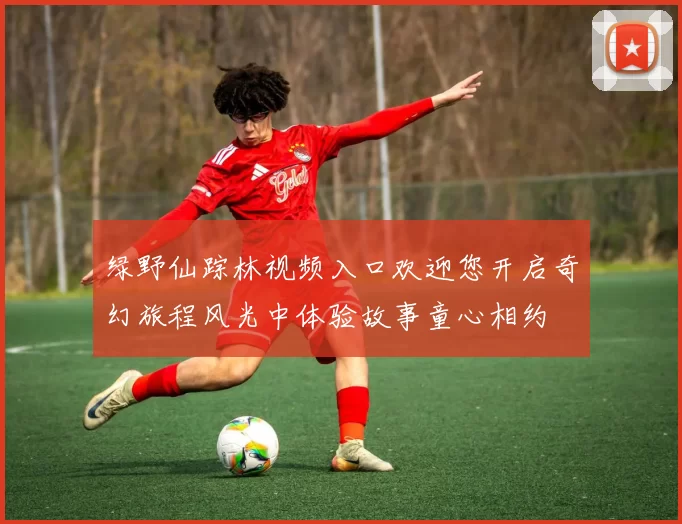 绿野仙踪林视频入口欢迎您开启奇幻旅程风光中体验故事童心相约