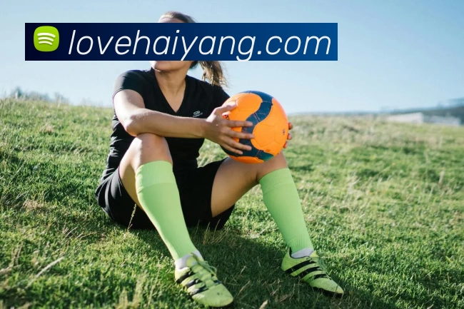 乐鱼官方体育app官网平台生态图