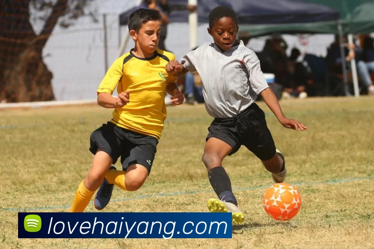 乐鱼官方体育app官网全站App 乐鱼官方体育app官网全站App